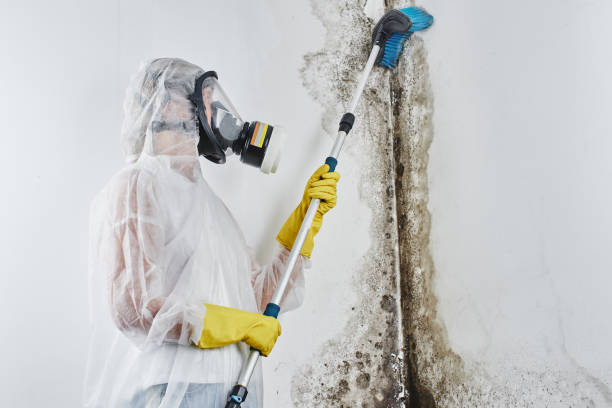 Water Damage Restoration in Sequim, WA