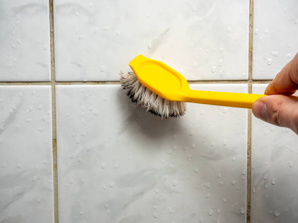 Best Mold Remediation  in Sequim, WA