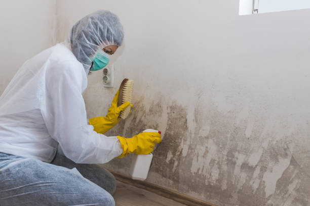 Best Crawl Space Mold Removal  in Sequim, WA